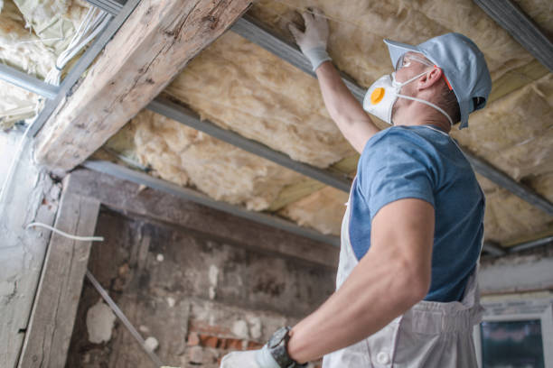Best Home Insulation Services  in Dallastown, PA