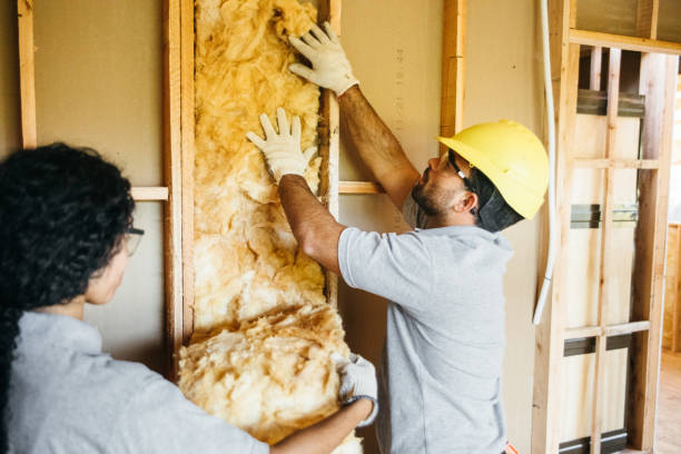 Best Insulation Replacement Services  in Dallastown, PA
