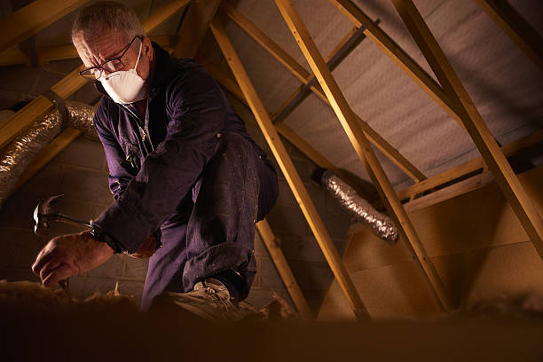 Best Best Insulation Companies  in Dallastown, PA
